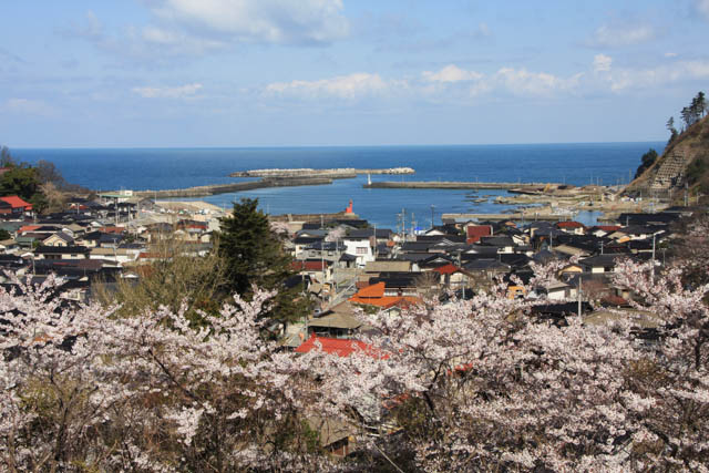 加茂の文化遺産を愛する会」、「加茂八景」の概要について〜加茂の文化